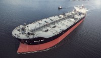 Virgin Fuel Oil(D6)